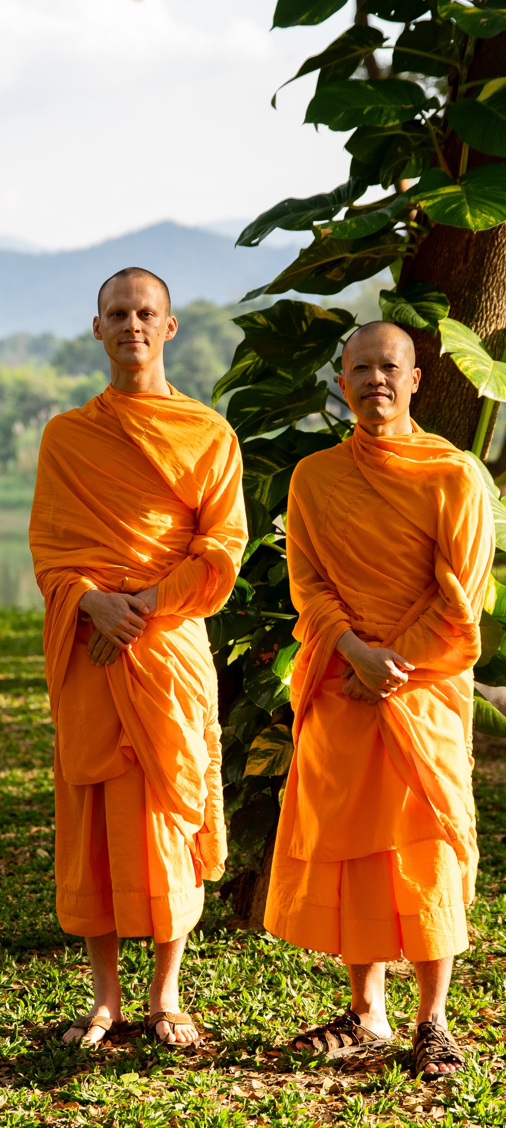 Buddhist monks in saffron robes walking together outdoors in natural light.